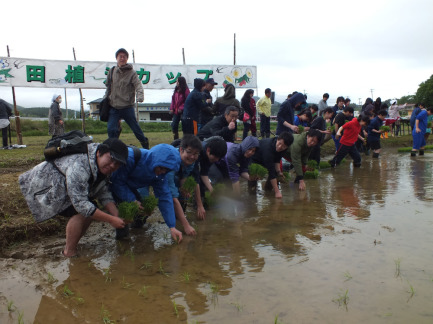 【画像】津波で壊滅後、復活させた圃場で田植え：宮城県南三陸町